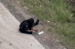 Жваву трасу засипало монетами після аварії