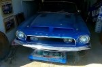 Виявлено секретну колекцію рідкісних Ford Mustang