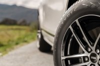 Nokian Tyres    100    