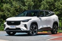    Geely Cityray   Geely Atlas