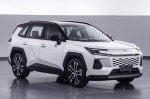 Toyota RAV4     Toyota Wildlander