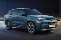 䳿     Suzuki Victoris