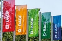 BASF      