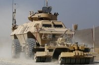     65  MSFV