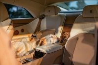 Rolls-Royce   Spectre Bailey
