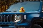 DuckDuckJeep   :   Jeep-       