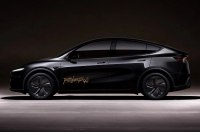 Tesla Robotaxi    ,  Waymo,    