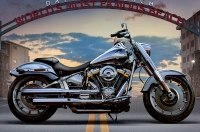 Harley-Davidson    