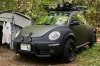      VW Beetle