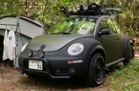      VW Beetle