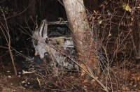 ����� ��������� ���� Tesla �������� 15 ���