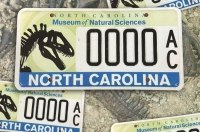 � ��� ������ �������� ������ ���� � �������� ���������