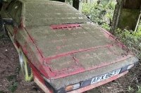 ���������� ����������� �������� 80-� �������� 30 ���� � ����