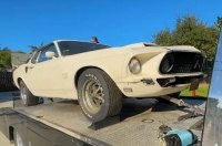 ���������� Ford Mustang Boss 429 ����� � ����� � 1974 ����