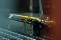 ������������ ���������� Donut Lab ������� ��������� �������� �������