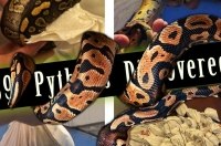 � ��� � ����� ��������� ������� ������� ������