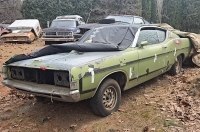 ˳�������� Ford Torino Cobra ������� �� �������