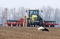 ������ ����������� � 2025 ���� ������: ������ ������� ������������� �� ��� ����