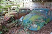 �� ����������� ����� ������� �������� �������� Volkswagen