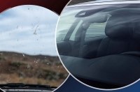 ������� �������� ����: ���� ����������� ���� ��� ������������ �� ���������� ����������