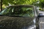 ������ ����� ��� ������: �� ������ ��������� ��������� ���� �� ����