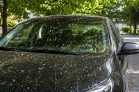 ������ ����� ��� ������: �� ������ ��������� ��������� ���� �� ����