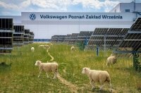 Volkswagen ������ �������� �������� �� �����