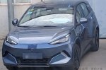 BYD ���� ����� �������������� Great Seagull