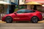 Tesla ���� ���������� ������ ���� Robotaxi