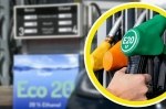 � ����� �������������� ������ ������� �� 20 �������: �� �� ��������� �� ����������