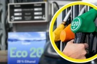 � ����� �������������� ������ ������� �� 20 �������: �� �� ��������� �� ����������