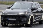 Porsche ������ ��� ����� ���������������� ��������������