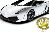   Lamborghini Gallardo  Elite Carbon!
