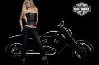 Harley-Davidson  1100    140 