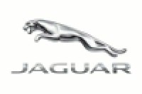 Jaguar    300  