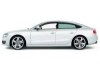 Audi  A5 Sportback     100-
