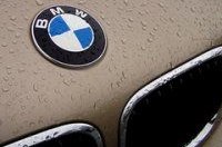   BMW     43 