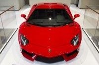  Lamborghini     ""
