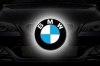 BMW Group     2012 