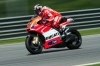  Ducati  MotoGP   -  