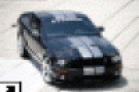 Steeda Autosports    "" Ford GT500