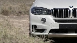 Экстерьер BMW X5