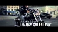 ³  1 Harley-Davidson Dyna Fat Bob FXDF