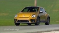   Volkswagen Beetle Dune