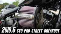 ³  Harley-Davidson CVO Pro Street Breakout FXSE