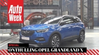 Видео Opel Grandland X в статике