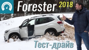 Тест-драйв Subaru Forester 2019