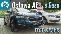 Відео Обзор Skoda Octavia A8 2020