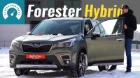 Видео Тест-драйв Subaru Forester e-Boxer 2021