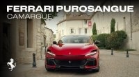 ³ Ferrari Purosangue - ,      